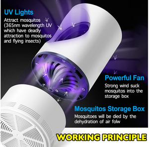 Mosquito Killer Lamp