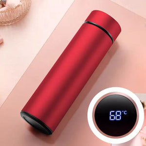 Temperature Stainless Steel Hot & Cold Flask Bottle