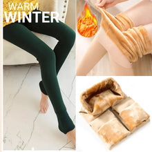 Load image into Gallery viewer, Cashmere Winter Warm Fleece Ladies Tights Free Size